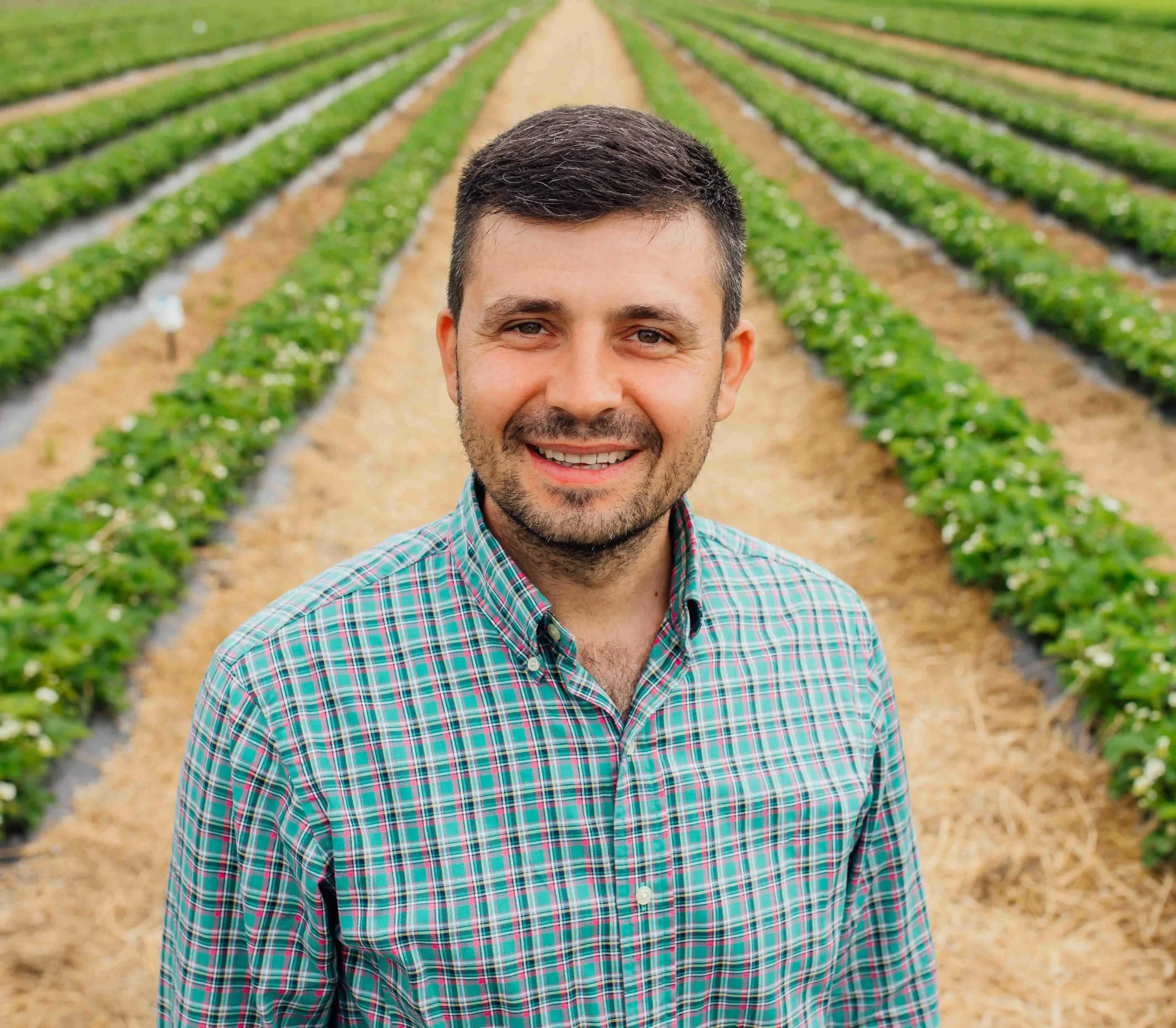 Pedro Henrique Souza